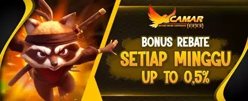 Cashback Harian 5% untuk Semua Pemain promotion banner